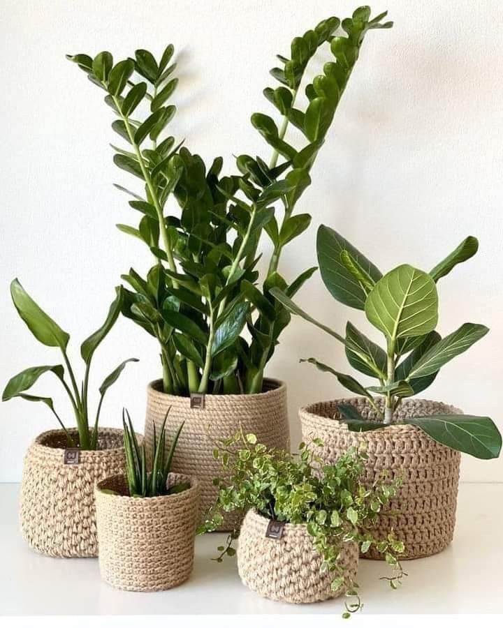Eco Bloom Rope Planters
